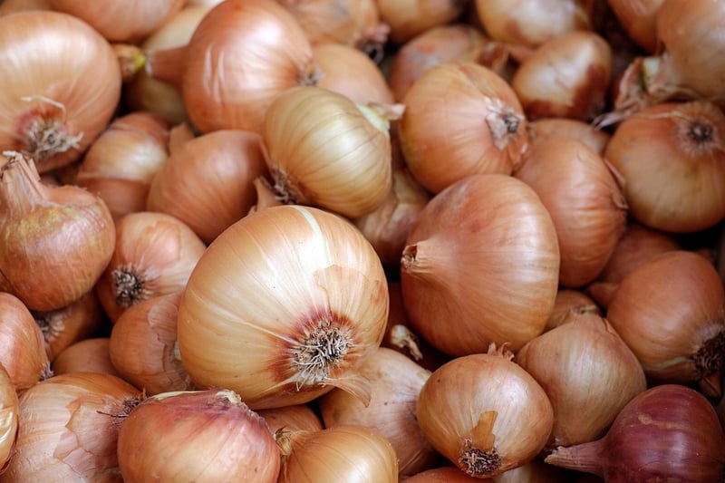 Organic Culinary Creations